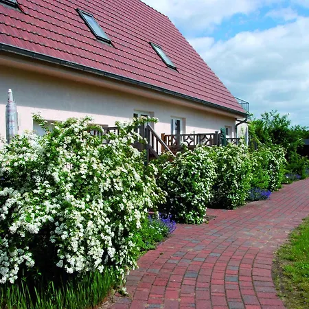 公寓 In Am Mueritzsee